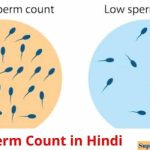 Sperm Count In Hindi