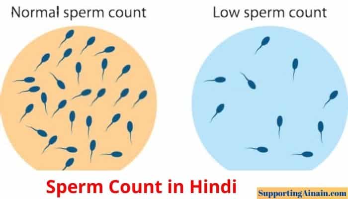 Sperm Count In Hindi