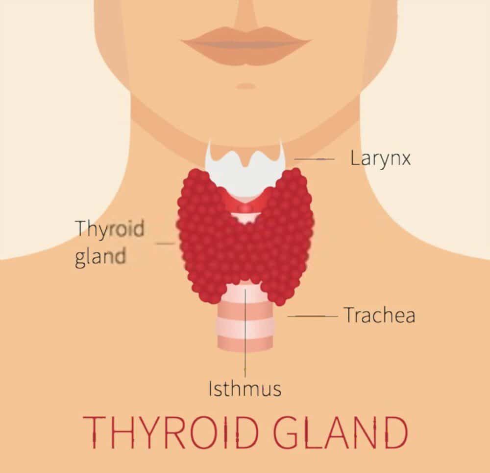 Thyroid Problems In Hindi